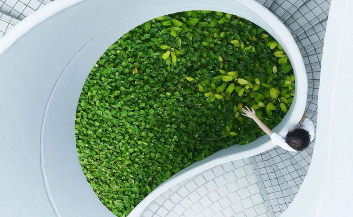 Pandemi Çağında ‘Bulaşıcı Güzellik’