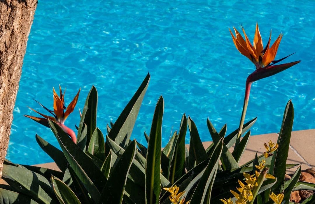 İşveren Markası Nedir?