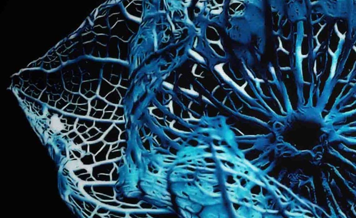 Cloud ve Singularity, Teknolojik Tekilliğe Doğru