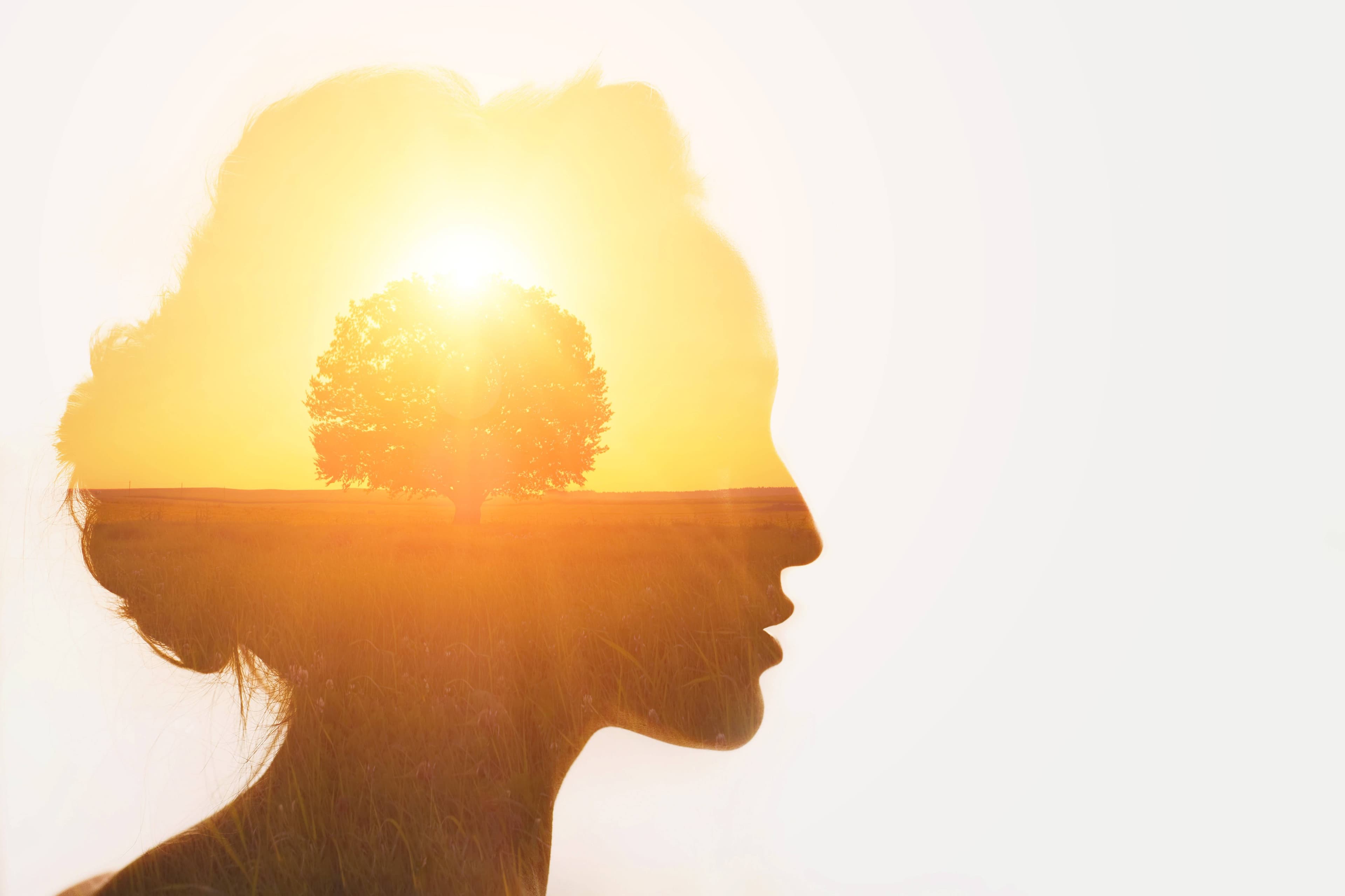 The Evolution and Future of Green Jobs