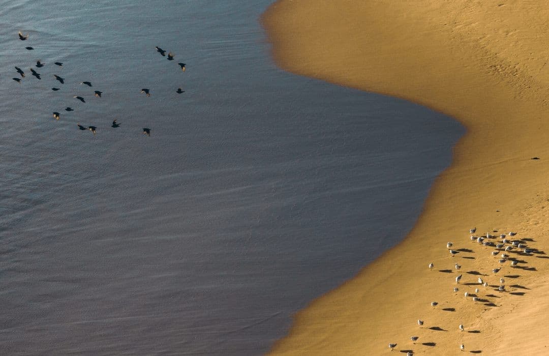 Yönünüzü Değiştirecek Stoacı Pratikler