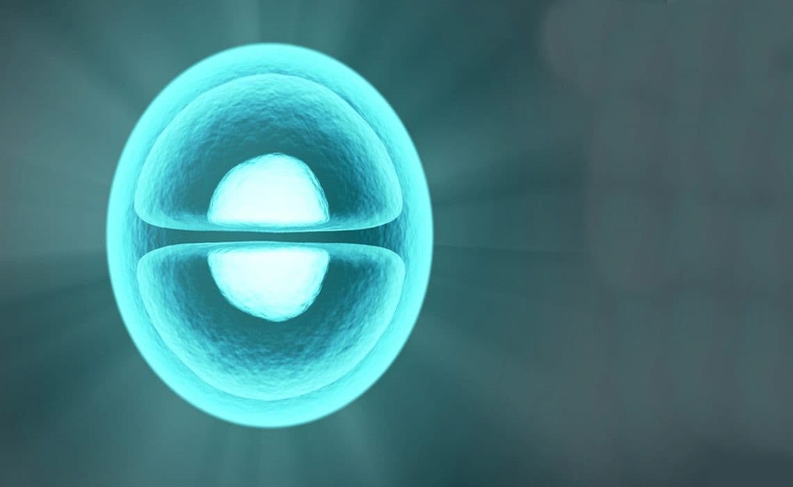 Talentra İşin Uzmanına Soruyor: “Biyoenformatik”