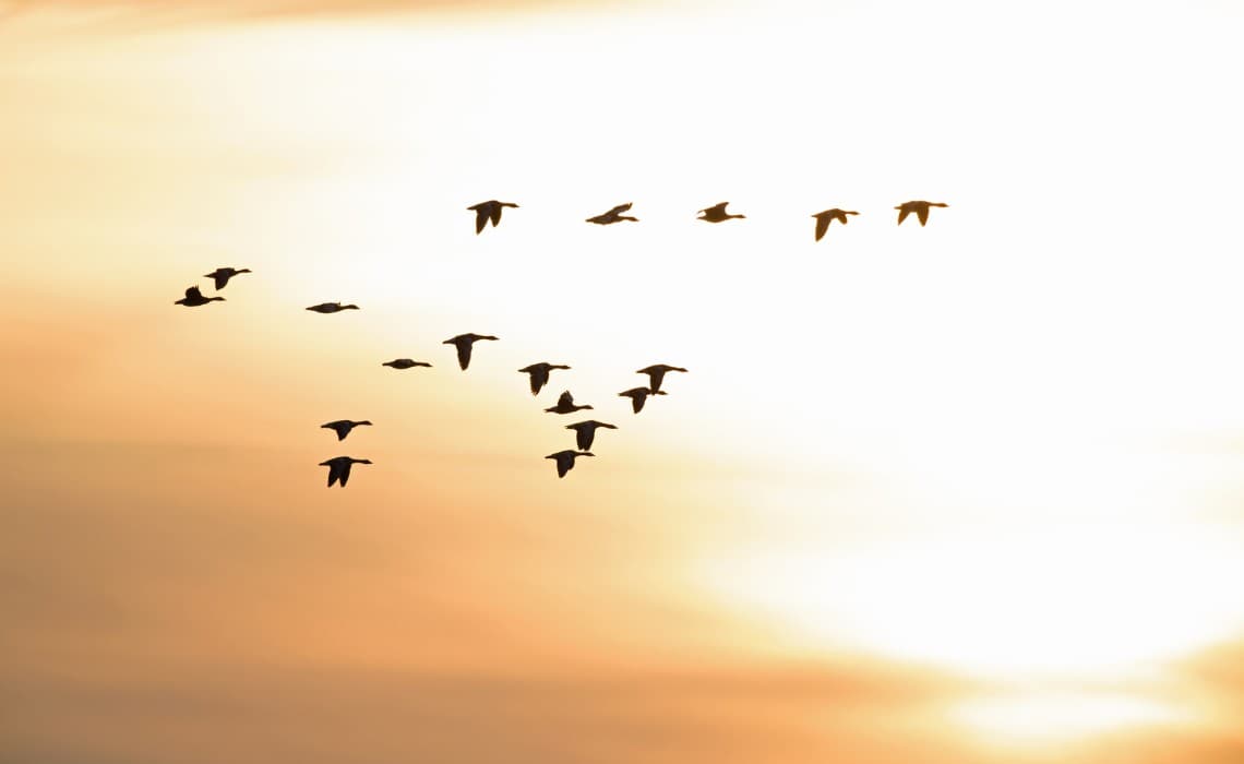 Talentra Blog: 2023 Yılı Panaroması