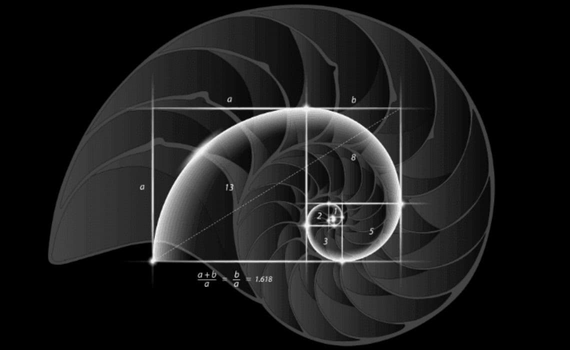 Evrendeki Saklı Armoni