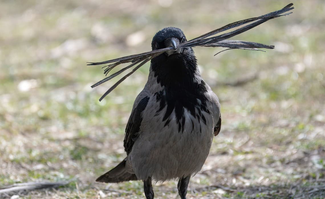 Emeğin Değeri Üzerine