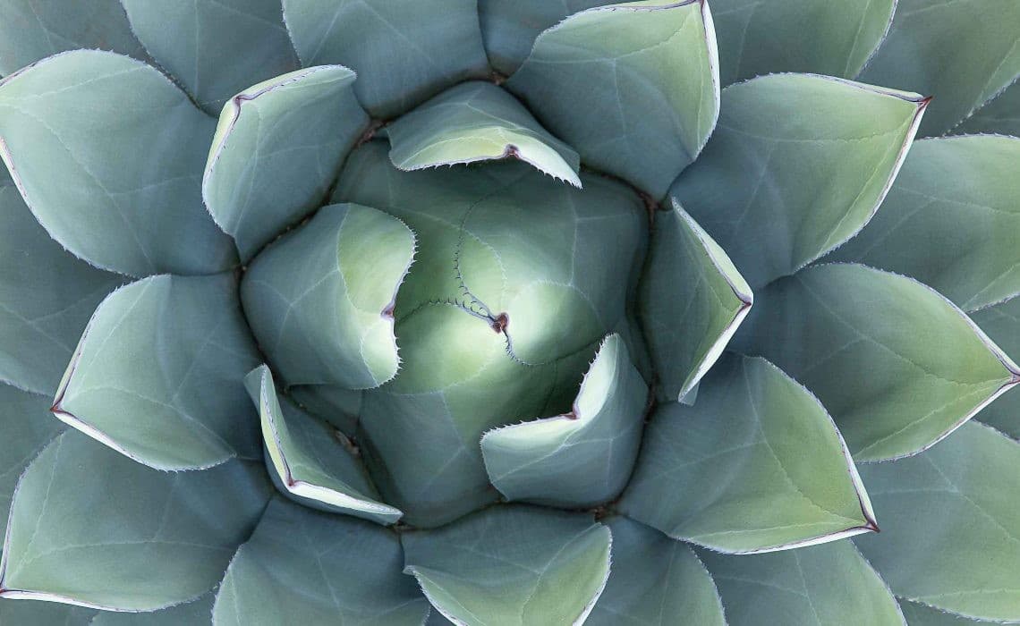 Siber Güvenlik Alanında Kariyer