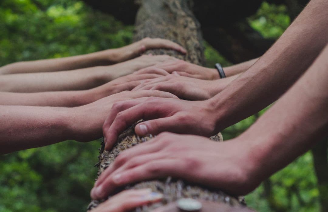“Dünyanın Aslında Kaynak Problemi Yok.”
