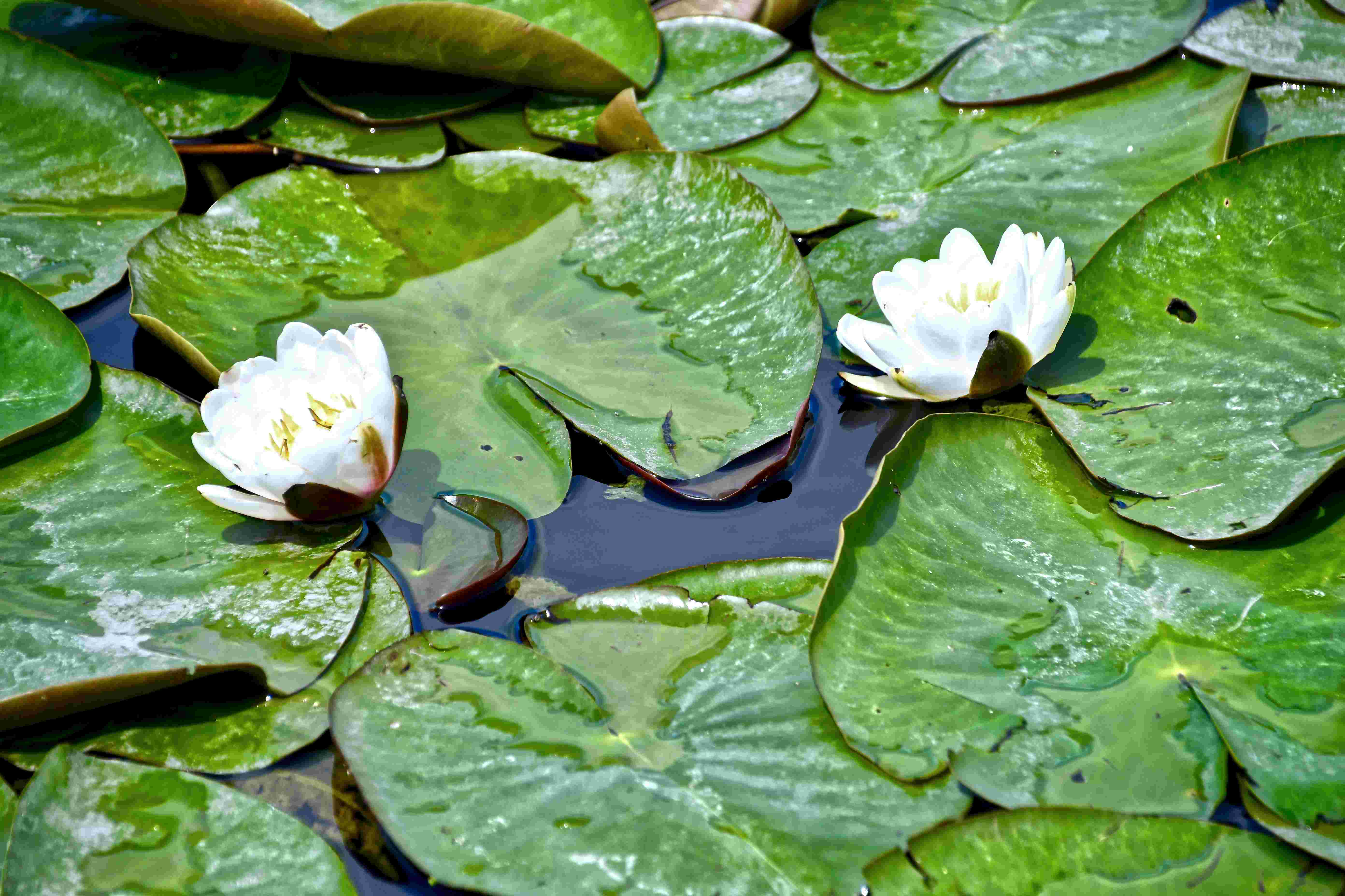 From 2024 to 2025: Challenges and Hopes