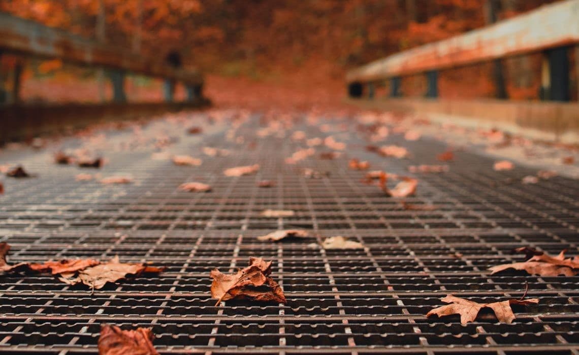 Dökülen Yapraklar; Sonbahar’da İş Değiştirme Hareketi